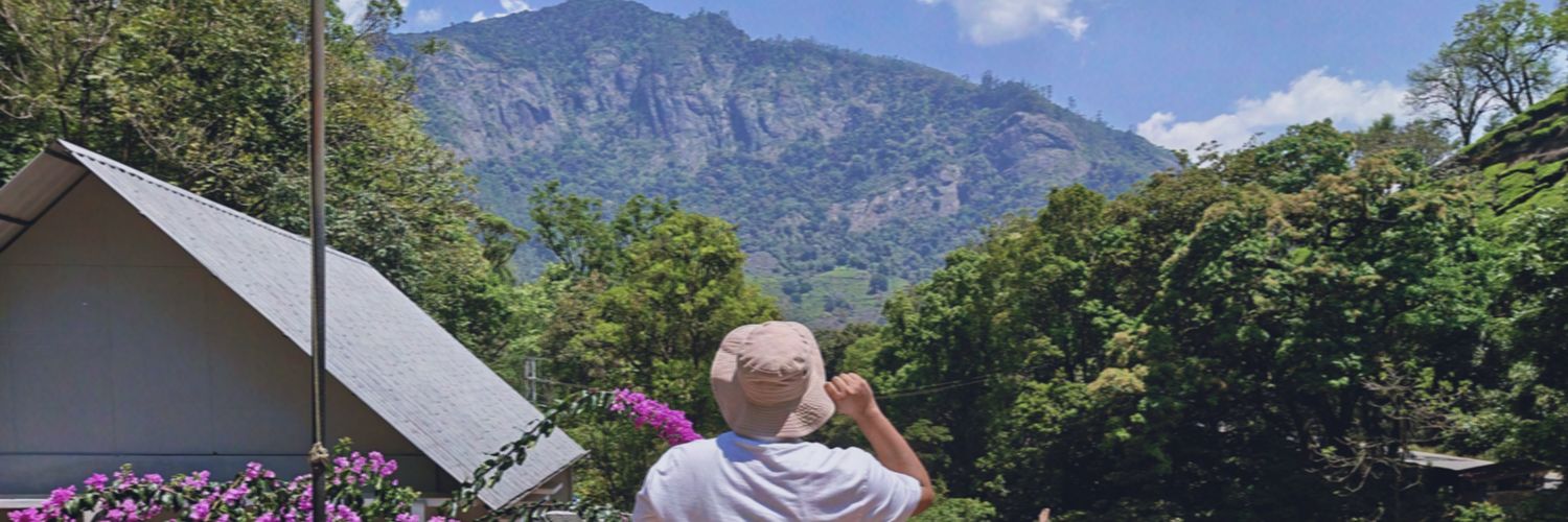 Prady Tripathi☄️ banner