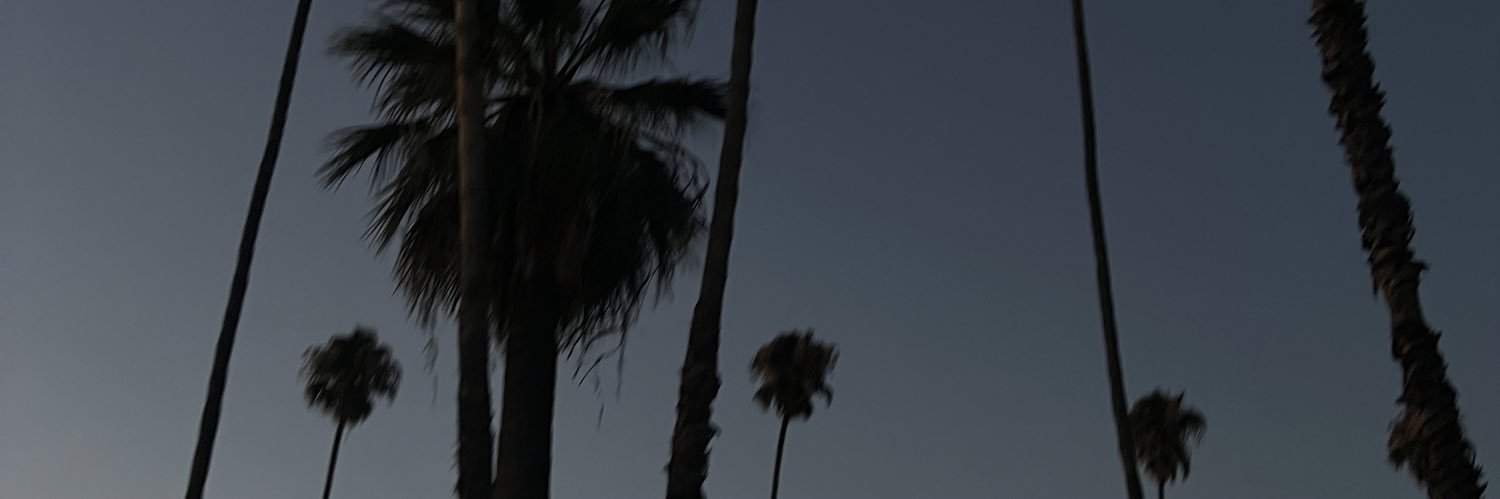 ariananyla's profile banner image