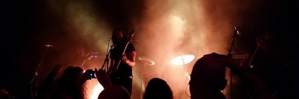 MolokenOfficial's profile banner image