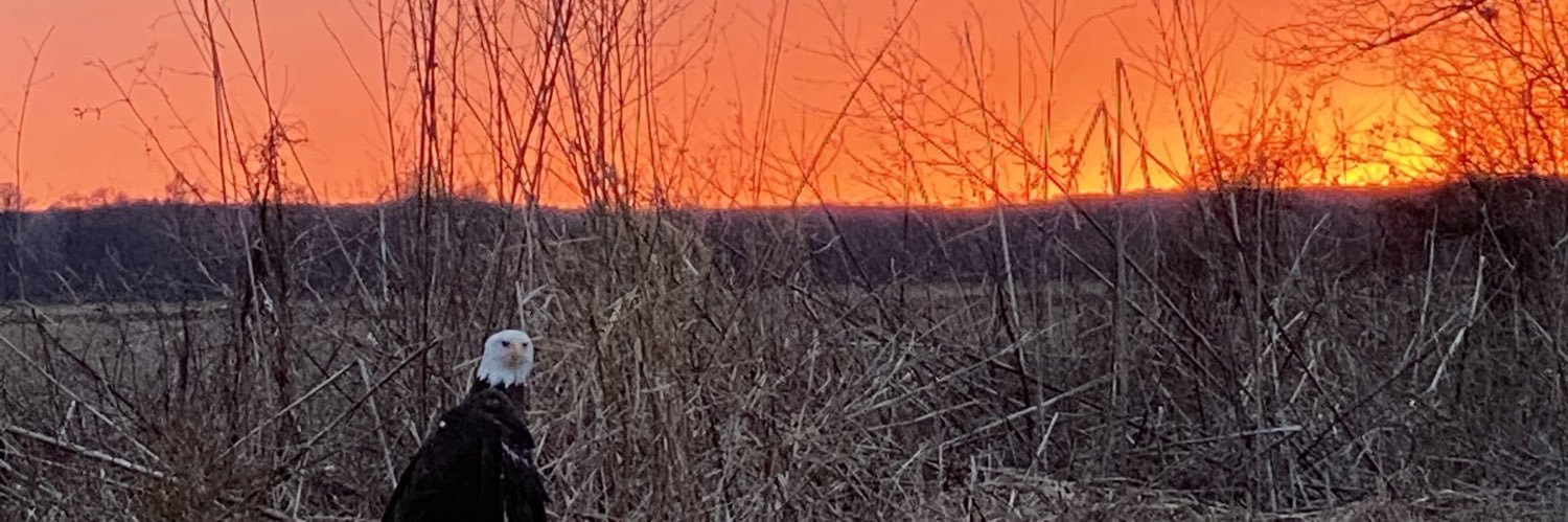 badashsamuel's profile banner image