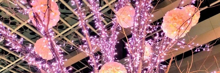 Emmet～ｴﾒｯﾄ banner