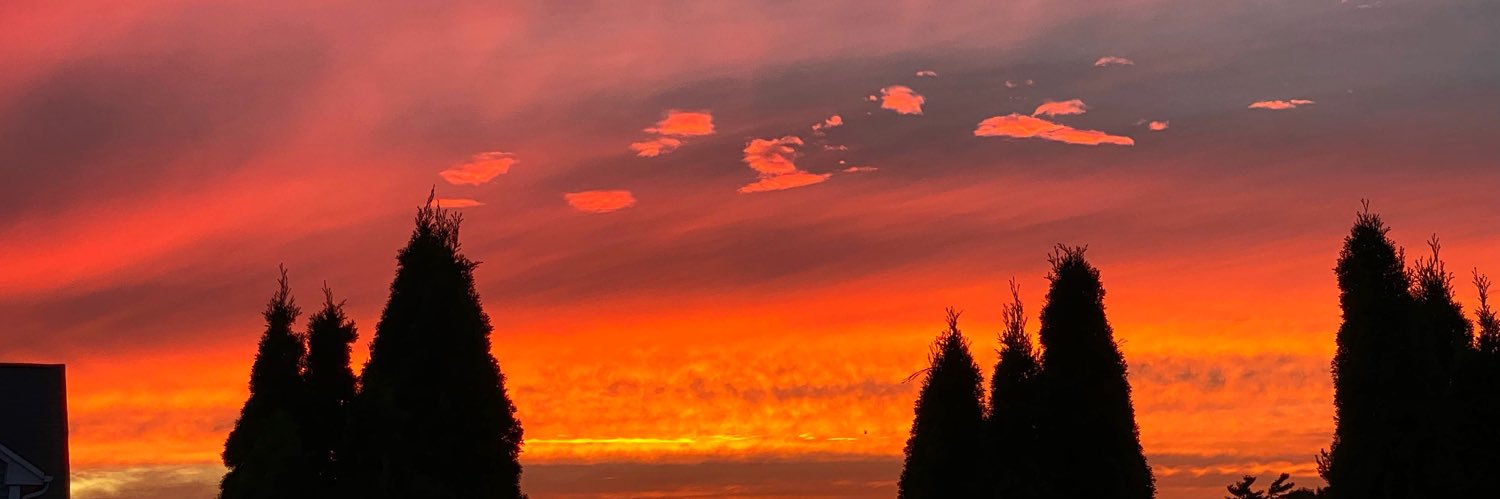 Mary Lynne Alexion banner