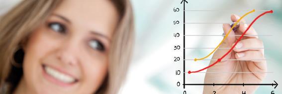 Optima Facto banner