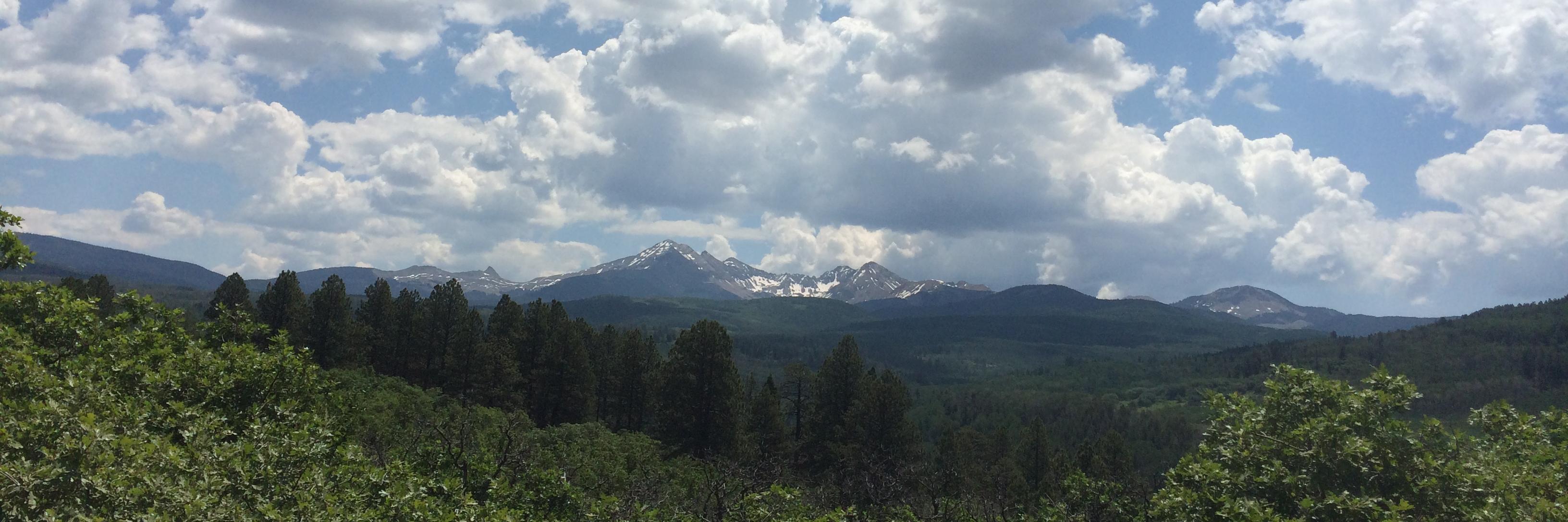 Park Williams banner