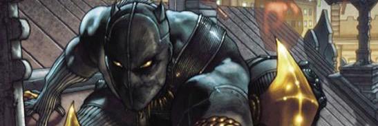 WakandaGuardian's profile banner image