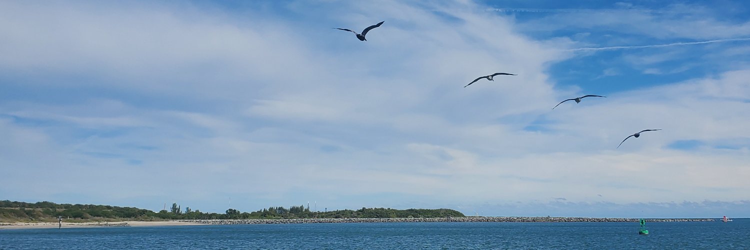 FreeStateOfFL's profile banner image