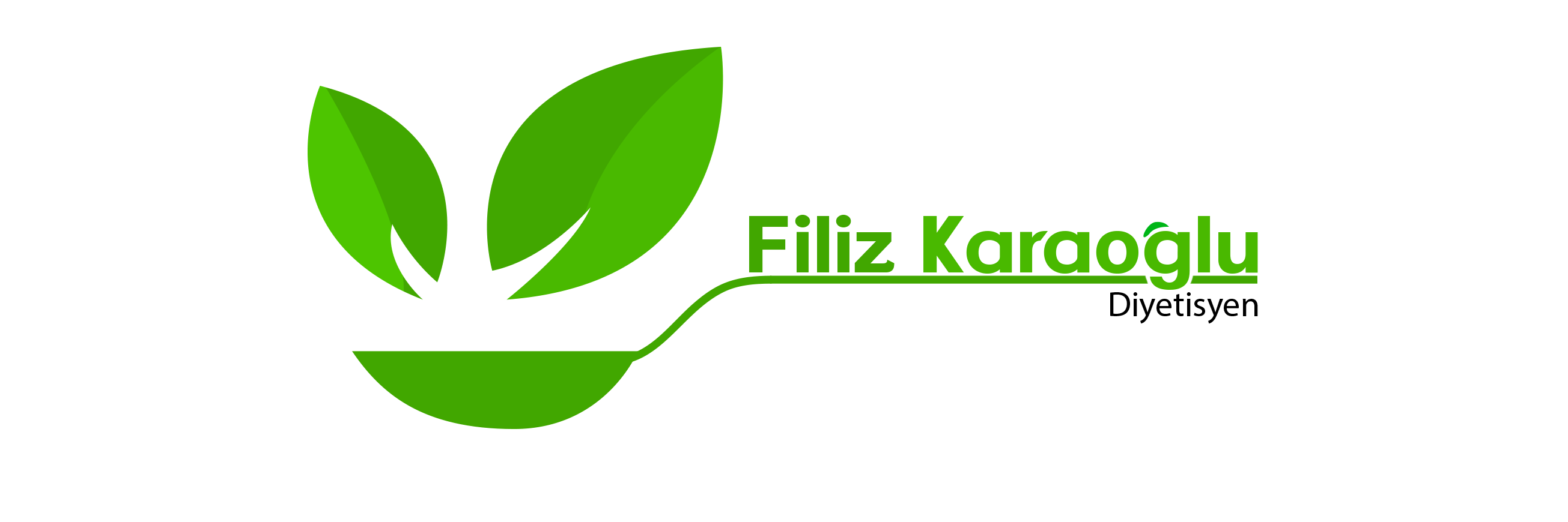 FilizKaraoglu's profile banner image