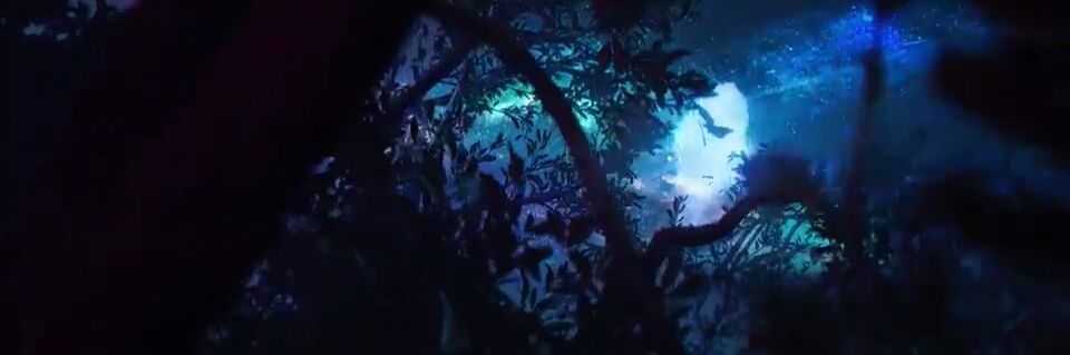 nytecrawlr's profile banner image