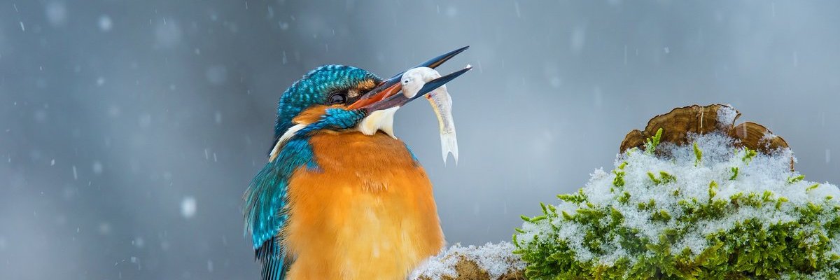 dyfivnr's profile banner image