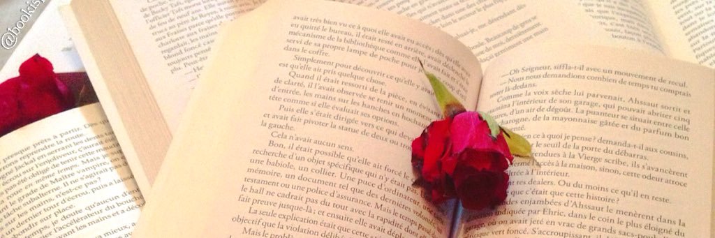 BookisParadise's profile banner image