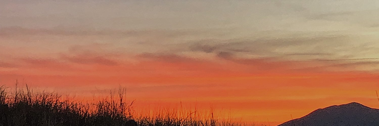 FernandaAng1's profile banner image