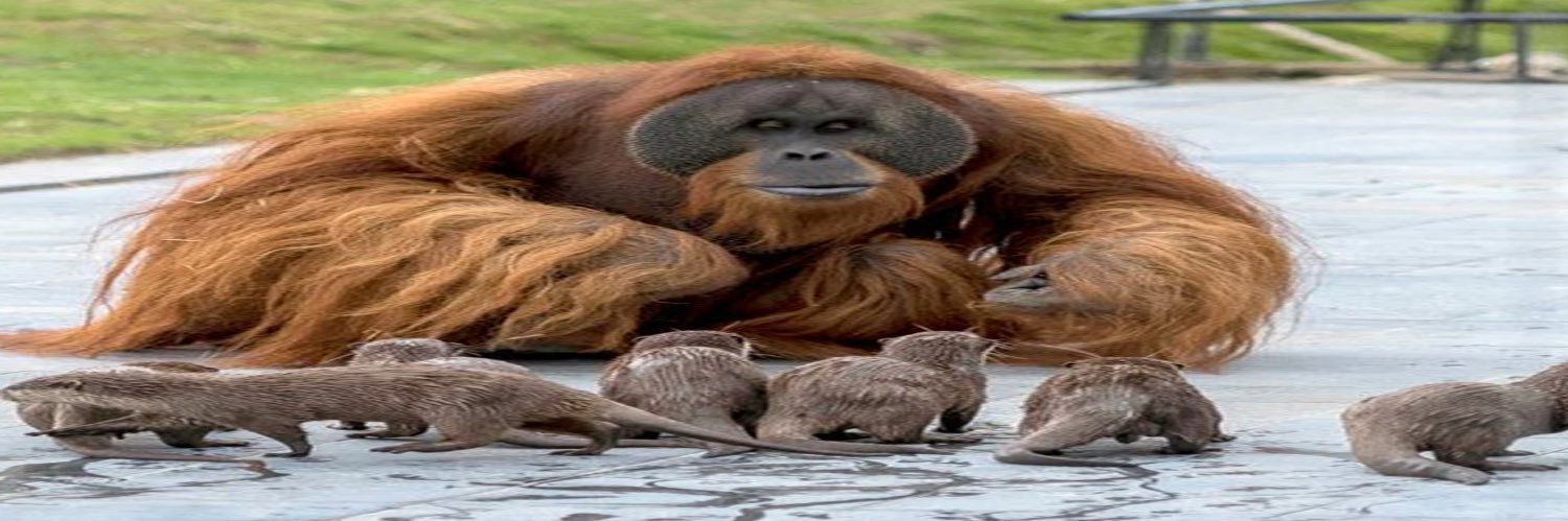 GuyHitchens's profile banner image