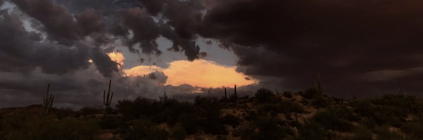 moldyblunts's profile banner image