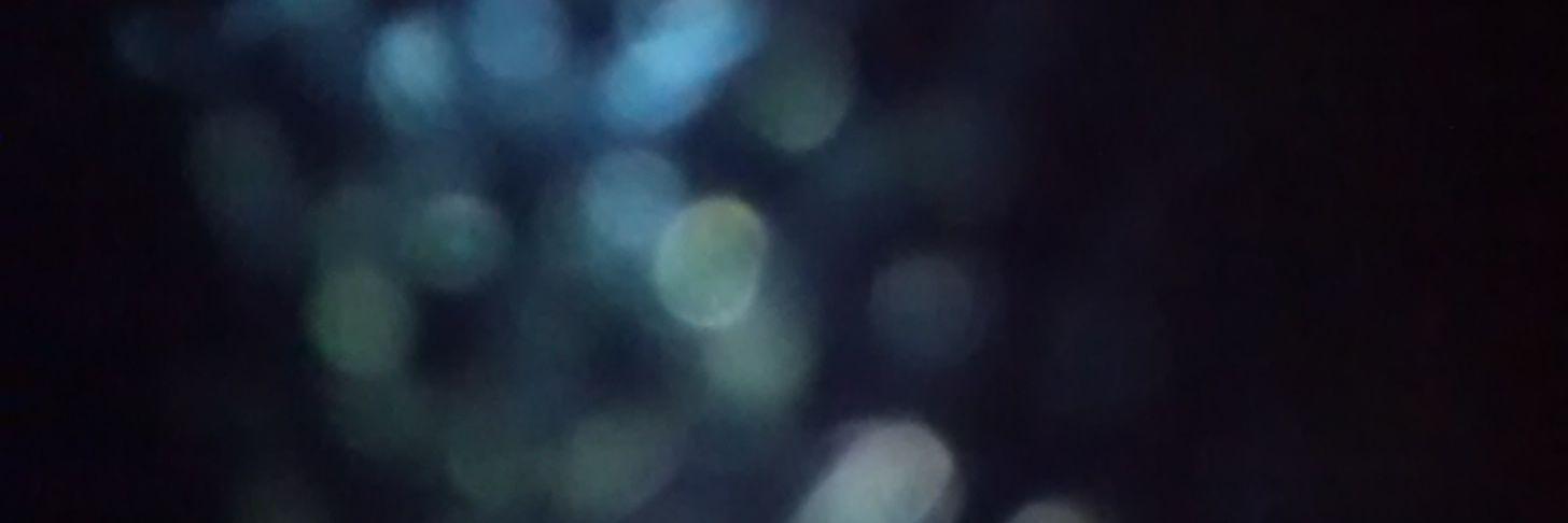 _rispe's profile banner image