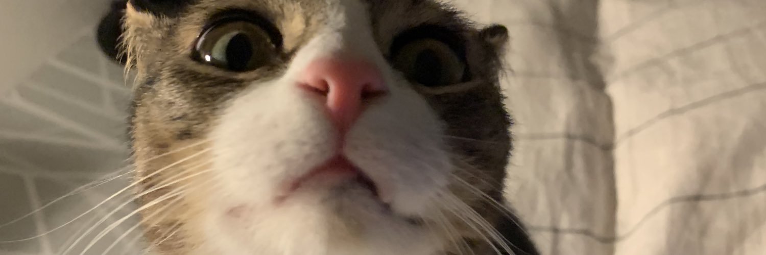 BrookersM's profile banner image