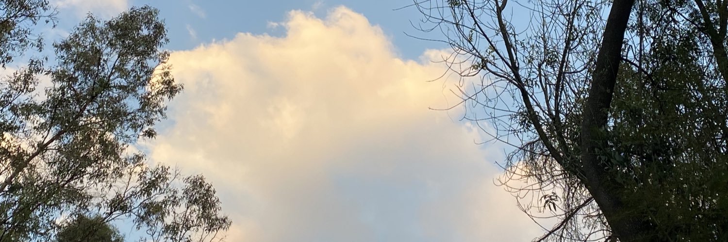 alec_mr's profile banner image