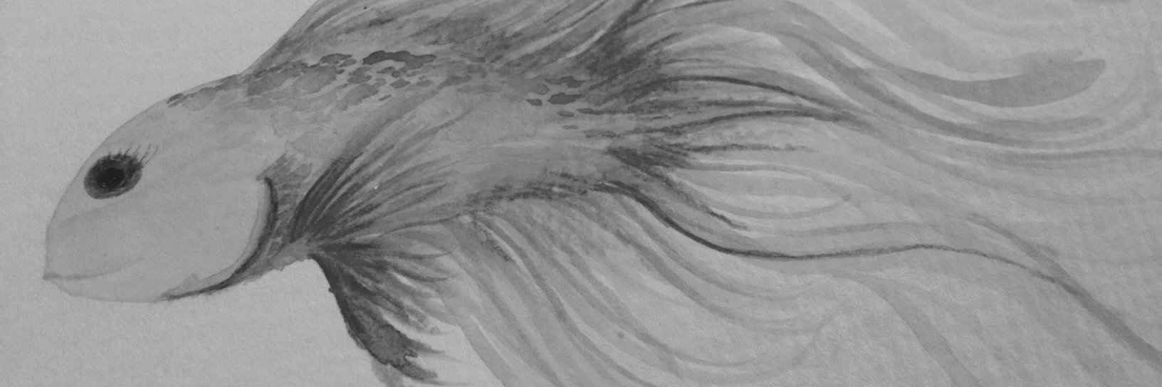 fitbyc's profile banner image