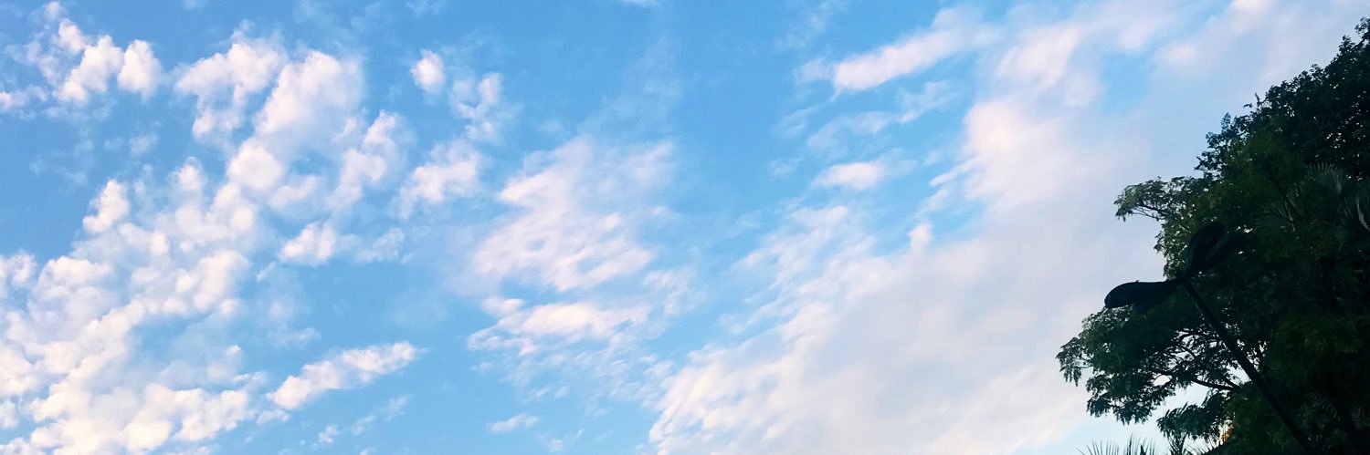 mayara_vick's profile banner image