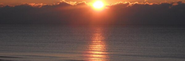 JanetSP1968 Profile Banner