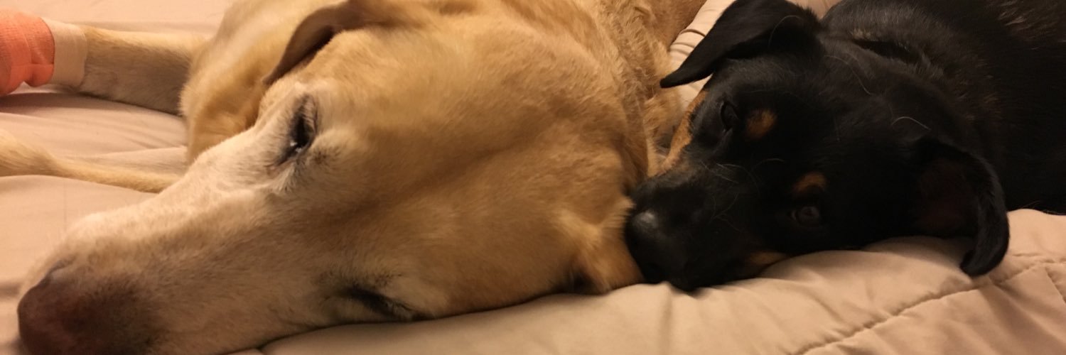 cosmo_sleeps's profile banner image