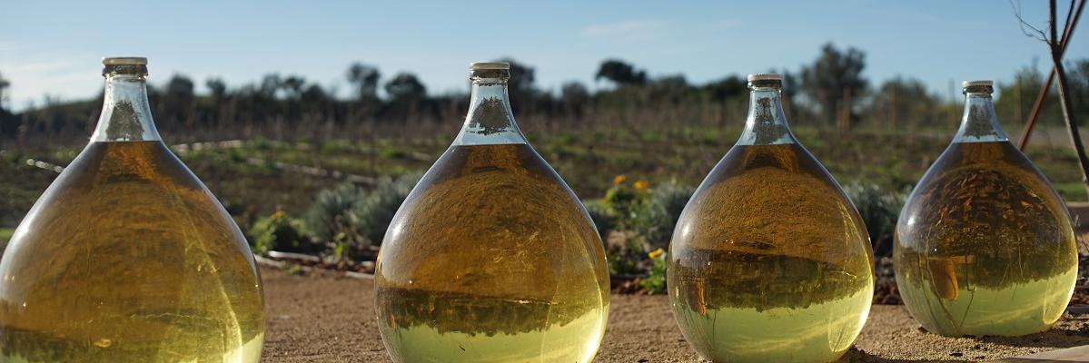 VinsdeTaller's profile banner image