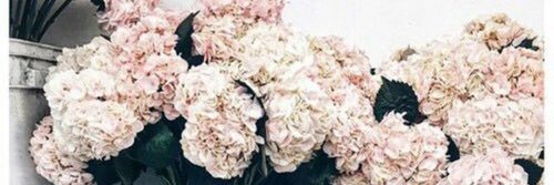 LinneaBostrom's profile banner image