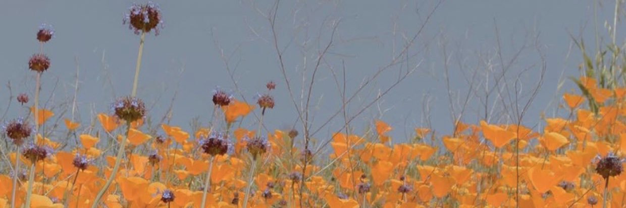 NuttayaNeung's profile banner image
