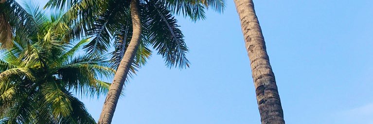 dreamybora's profile banner image
