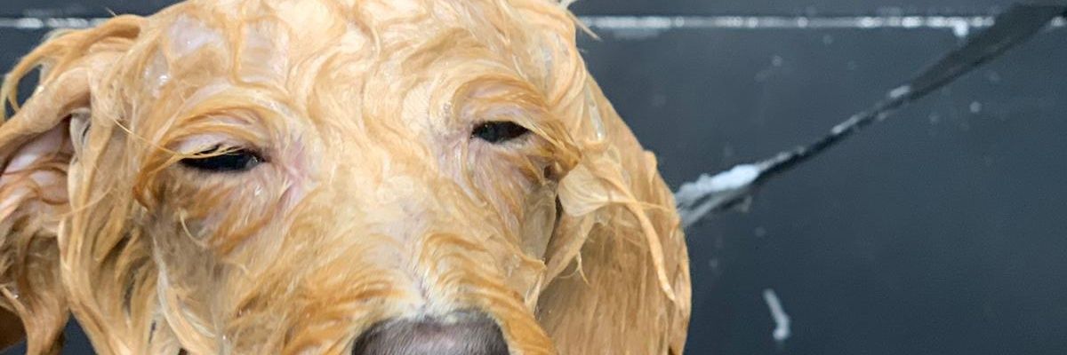 Alex_Rusted's profile banner image