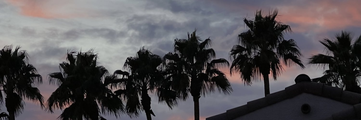 astralnessa's profile banner image