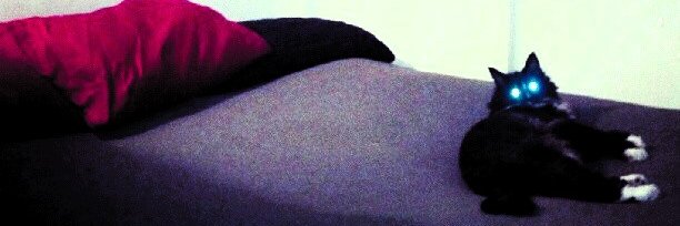 stereosync 🐔🍺 banner