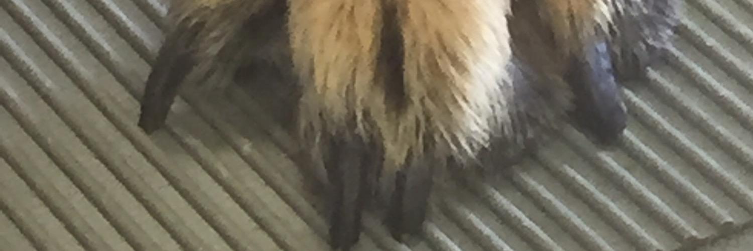 Davidkmccarthy2's profile banner image