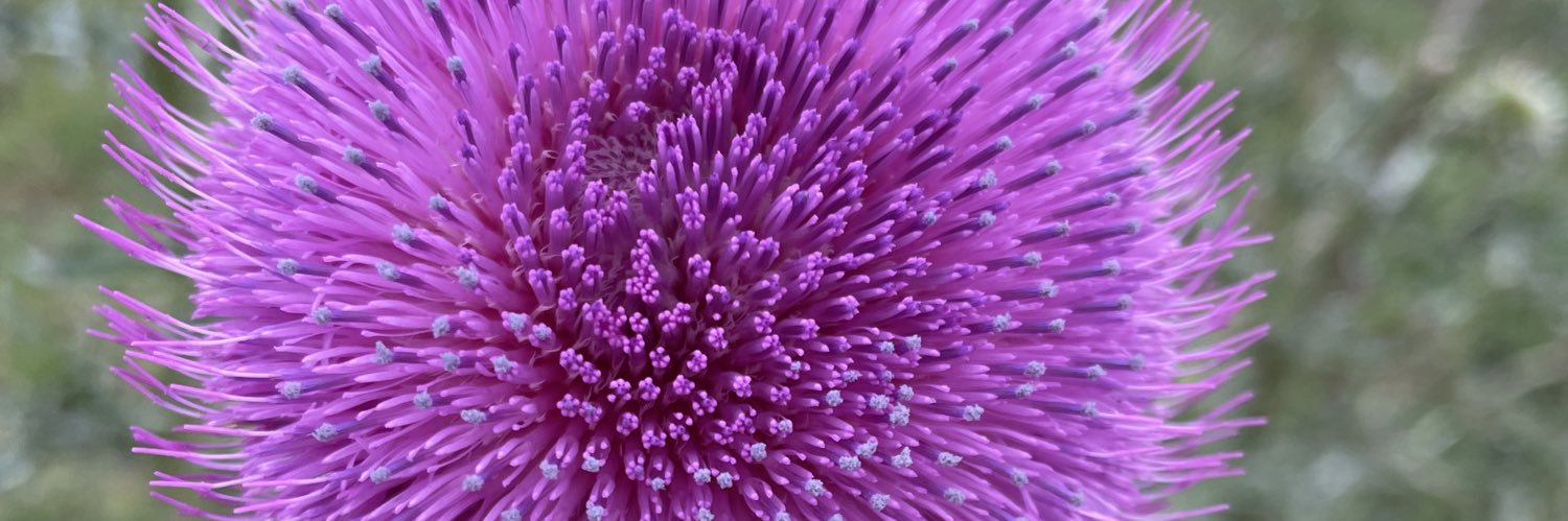 Hernan Rivero banner