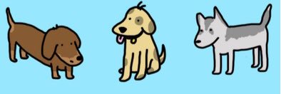 Can I Pet Your Dog? banner