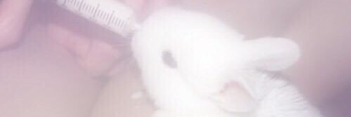 _________0525's profile banner image