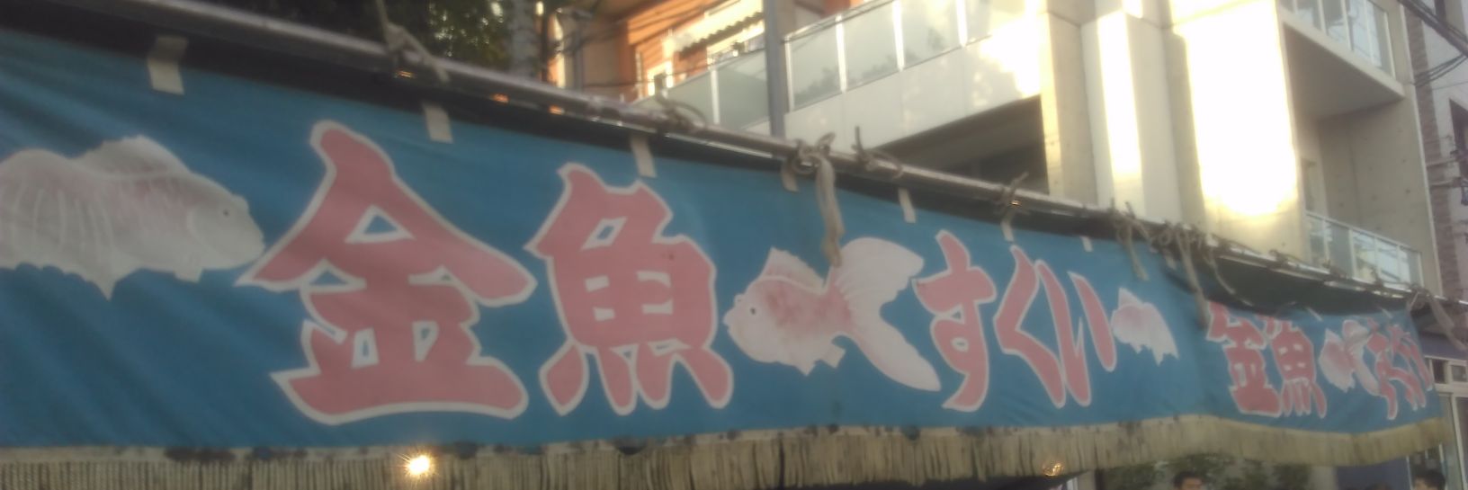 NTchosadan's profile banner image