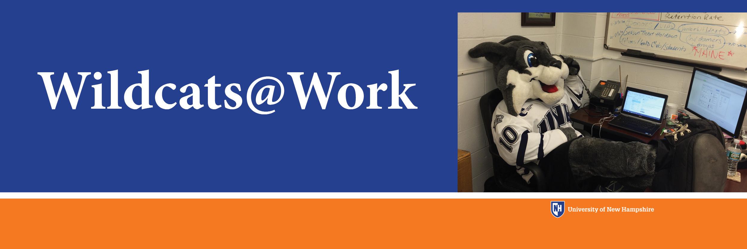 WildcatsAtWork's profile banner image