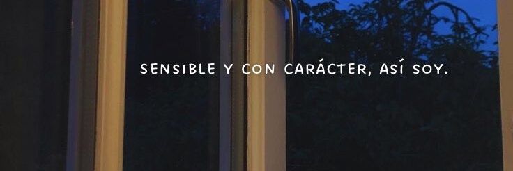 FlorFerraggine's profile banner image