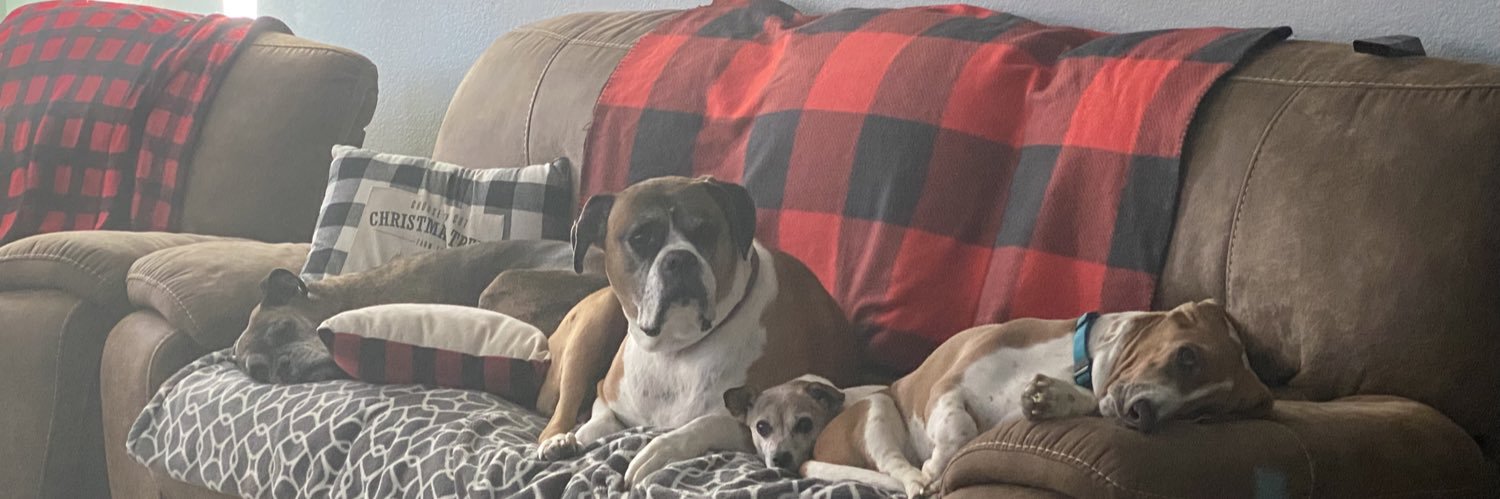 abbrsandy's profile banner image