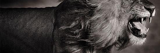 AzizaWork's profile banner image