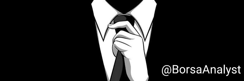 BorsaAnalyst's profile banner image