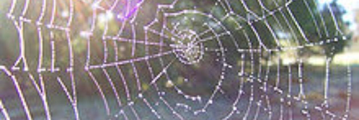 TaraStephenson2's profile banner image