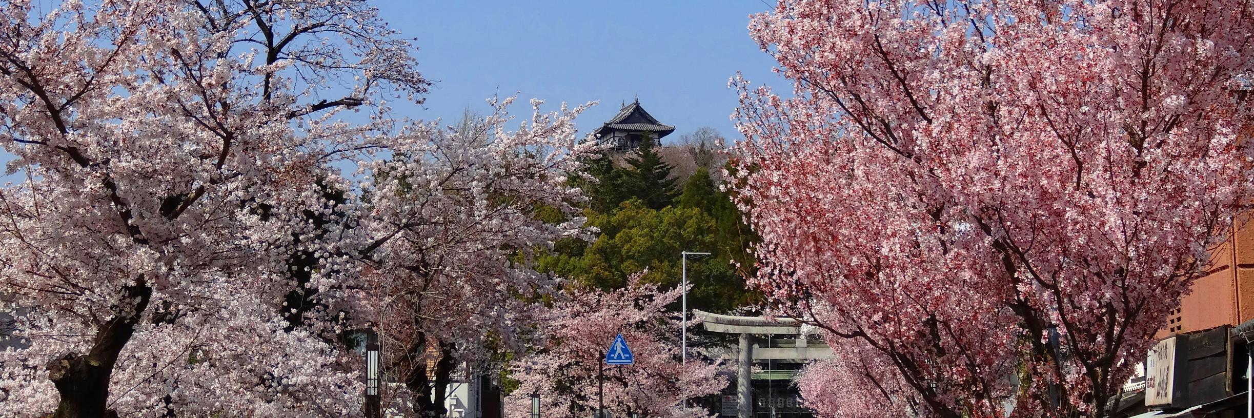 mochitake_com's profile banner image