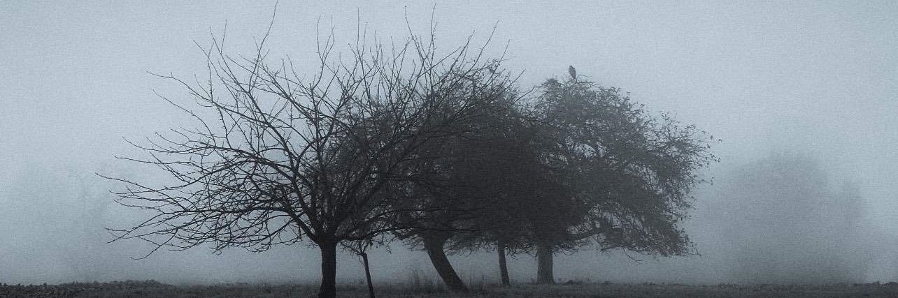 Brandon_1985's profile banner image
