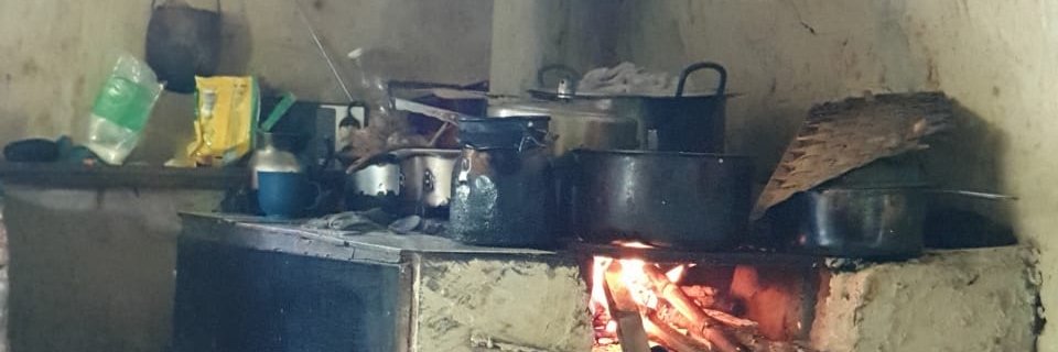 lulucuerv's profile banner image