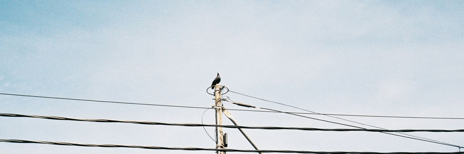 shamie eezwan banner