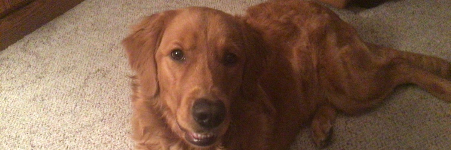 cottensj's profile banner image