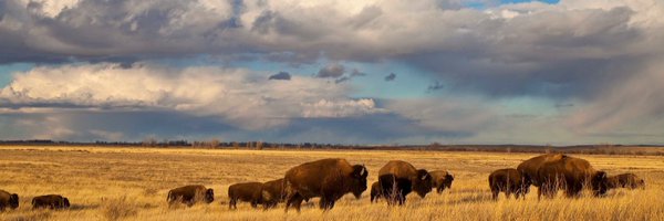 alexinND Profile Banner