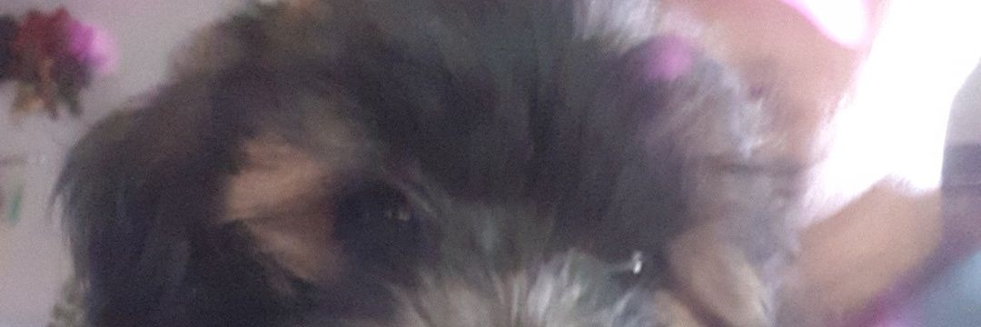 tobly pls banner
