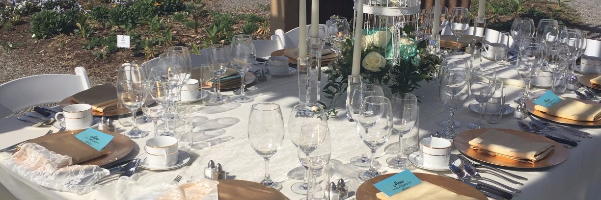 Evin Fox, PhD banner